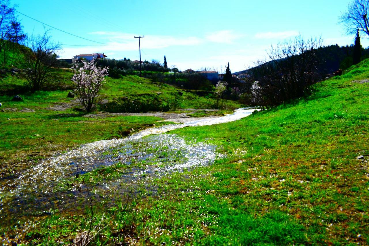 Oasis Of Calmnessε Villa Ardani Luaran gambar